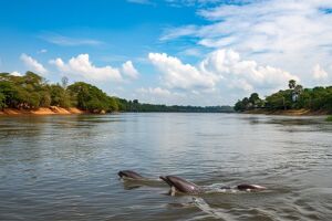 Kratie Safety Travel Guide: Tips, Precautions & Eco-Tours